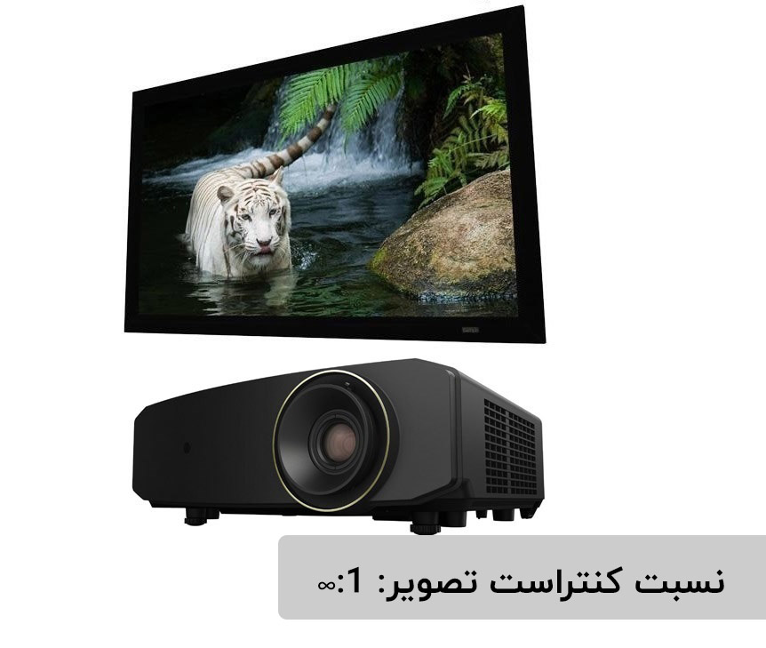 کنتراست دینامیک