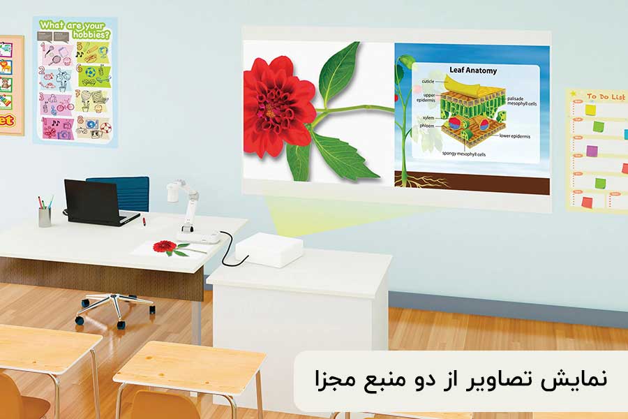 خرید اپسون E10